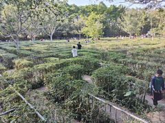 -广东茂名森林公园