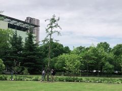 -上海市第一人民医院(松江南部)