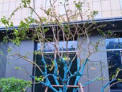 -昆山招商花园城