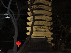 -万松老人塔