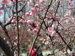 -上海植物园·停车场