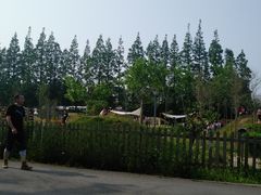 -前小桔亲子创意农场·草莓采摘·露营烧烤