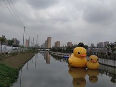 -菊园百果园