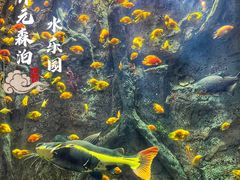 -杭州开元森泊度假乐园