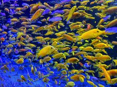 -成都浩海立方海洋公园