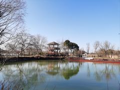 -长兴太湖图影湿地文化园