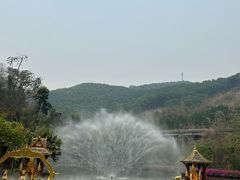 -西双版纳原始森林公园