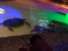 -华夏文旅海洋公园