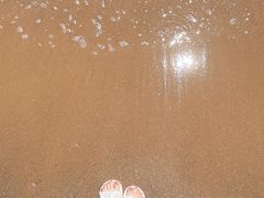 -日照海滨国家森林公园