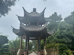 -铁山坪森林公园