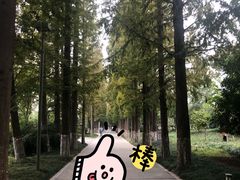 -桃花岛公园