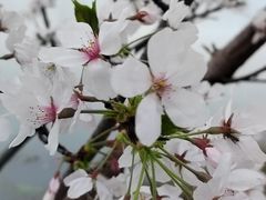 -金银湖国家城市湿地公园