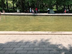 -玲珑塔公园