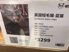 -龟与熊猫宠物公园(南坪店)