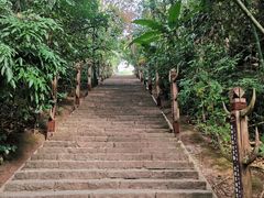 -西双版纳基诺山寨