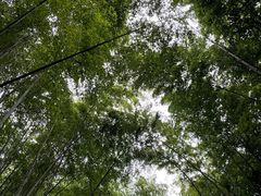 -穹窿山景区