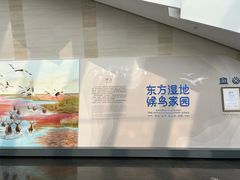 -盐城丹顶鹤湿地生态旅游区