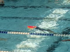 -七宝中学游泳馆