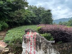 -敬亭山风景名胜区