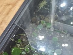 -红糖水都·女生特炖·中式滋补炖(北辰店)