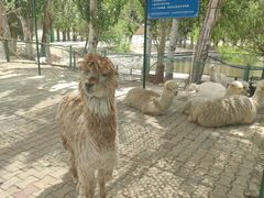 -新疆天山野生动物园