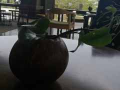 大堂-三亚国光豪生度假酒店-椰语堂(国光豪生店)