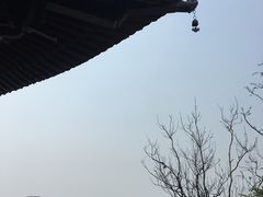 -杭州半山国家森林公园