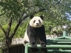 -天津市动物园