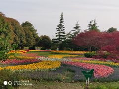 -上海鲜花港