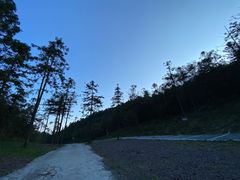 -武陵山森林公园