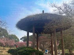 -无锡梅园公园