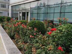 -首都医科大学附属北京地坛医院