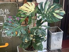 -Rabbit Cafe私房西餐甜点咖啡(栖霞路店)