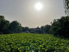 -莲池书院博物馆