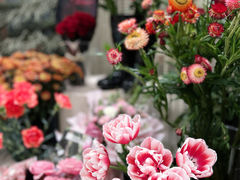-PlantsEatery·植物食堂(REX春熙店)
