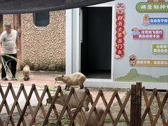 -南昌动物园