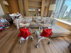 -巍阁高端月子会所