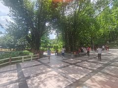 -晓港公园