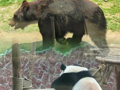 -黔灵山公园