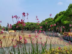-新江湾城公园