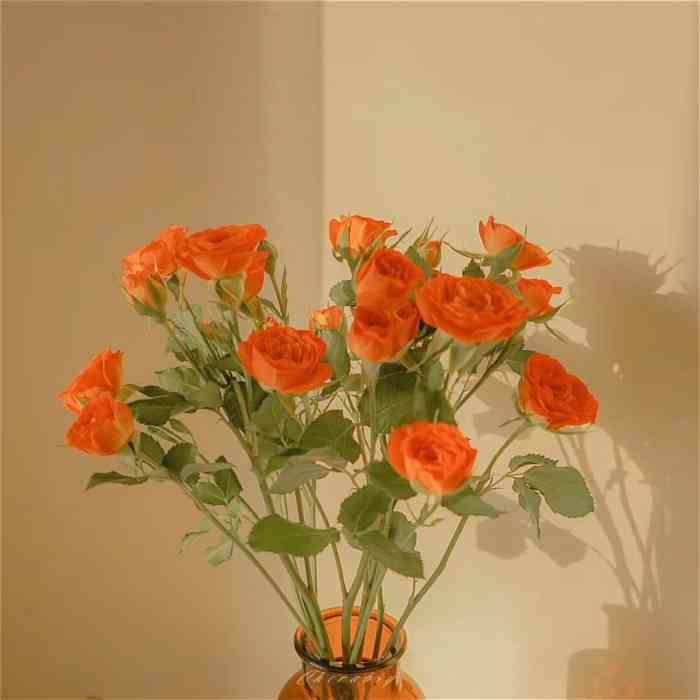 mrbean憨豆先生(滨江和城店)-"真心好喝～～一秒喝完～～老板是个热情