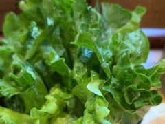 -手选潮汕鲜牛肉火锅(二七广场店)