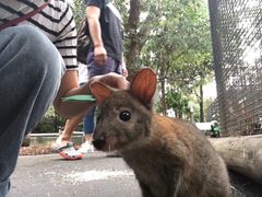 -费瑟代尔野生动物园