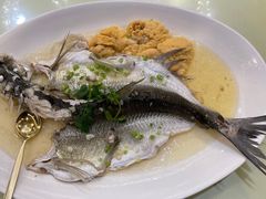 盐油水蒸和顺鱼-新君悦国际酒店