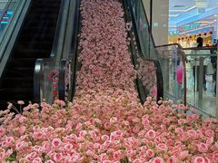 -洋洋广场(南街店)