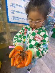 -神奇动物撸宠馆·羊驼·小浣熊·异宠(豫园店)