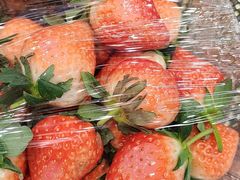 -龍歌自助小火锅(城阳万象汇店)