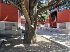 -北京国子监胡同