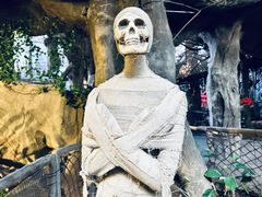 -长鹿旅游休博园