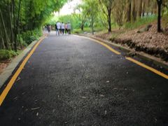 -贵阳市花溪国家城市湿地公园